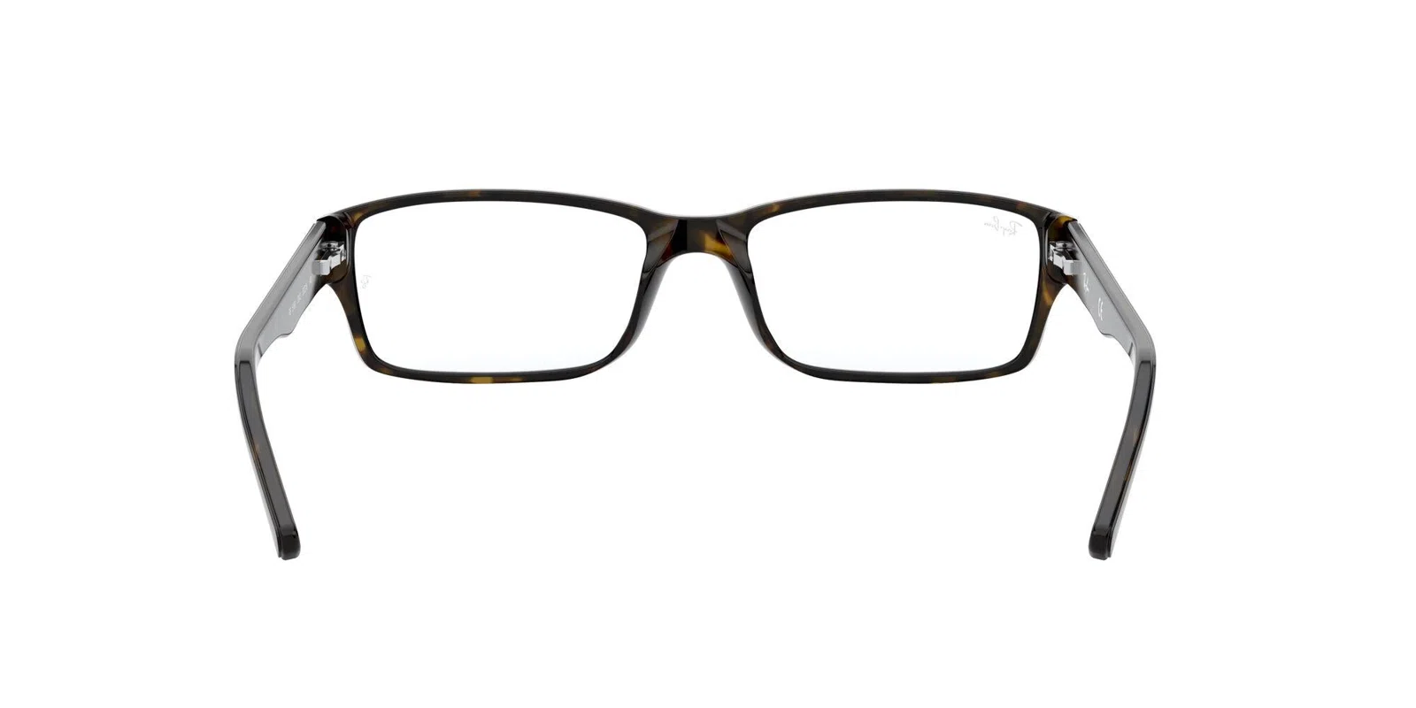 Ray-Ban 5169 Eyeglasses - view 78